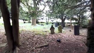 ASMR | Your Walking Through A Graveyard With Gravestones From The 1700's