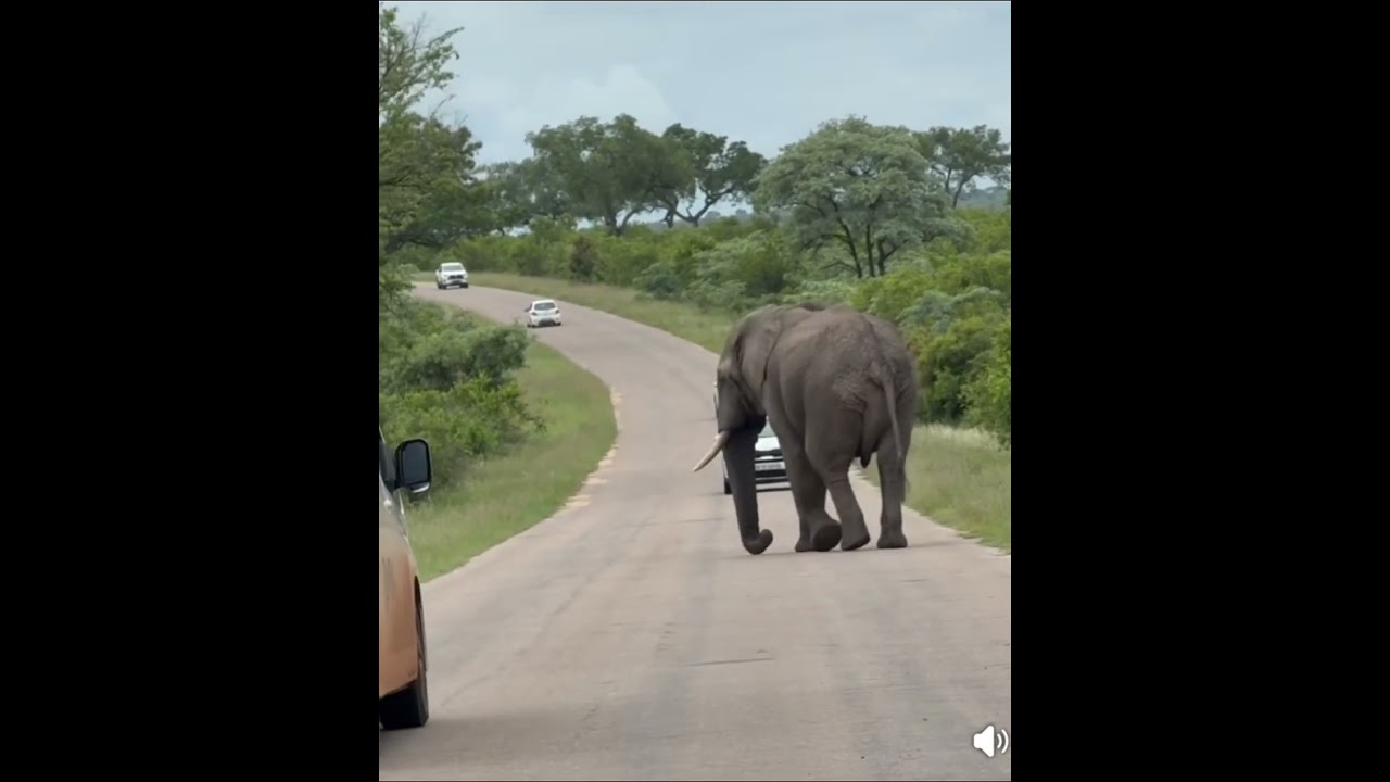 Rent a car hire services for tourists visiting zambia with so many activities around the country