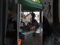 Playing In The Rain • How It Began • 2018