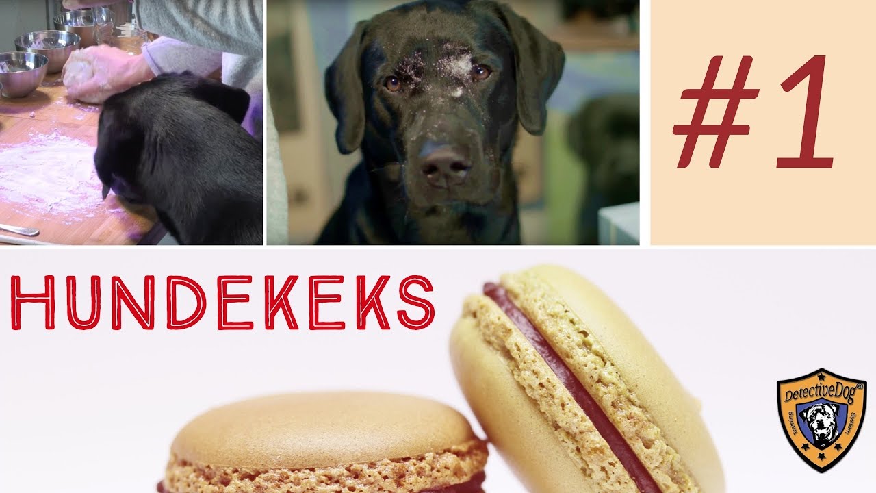 Leberwurstkekse Hundekekse Leckerlie Backen für Hunde | DIY Hundekekse selber  backen