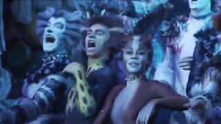 CATS - 2nd German Tour / Hamburg - Prologue: Jellicle Songs for Jellicle Cats (2011)