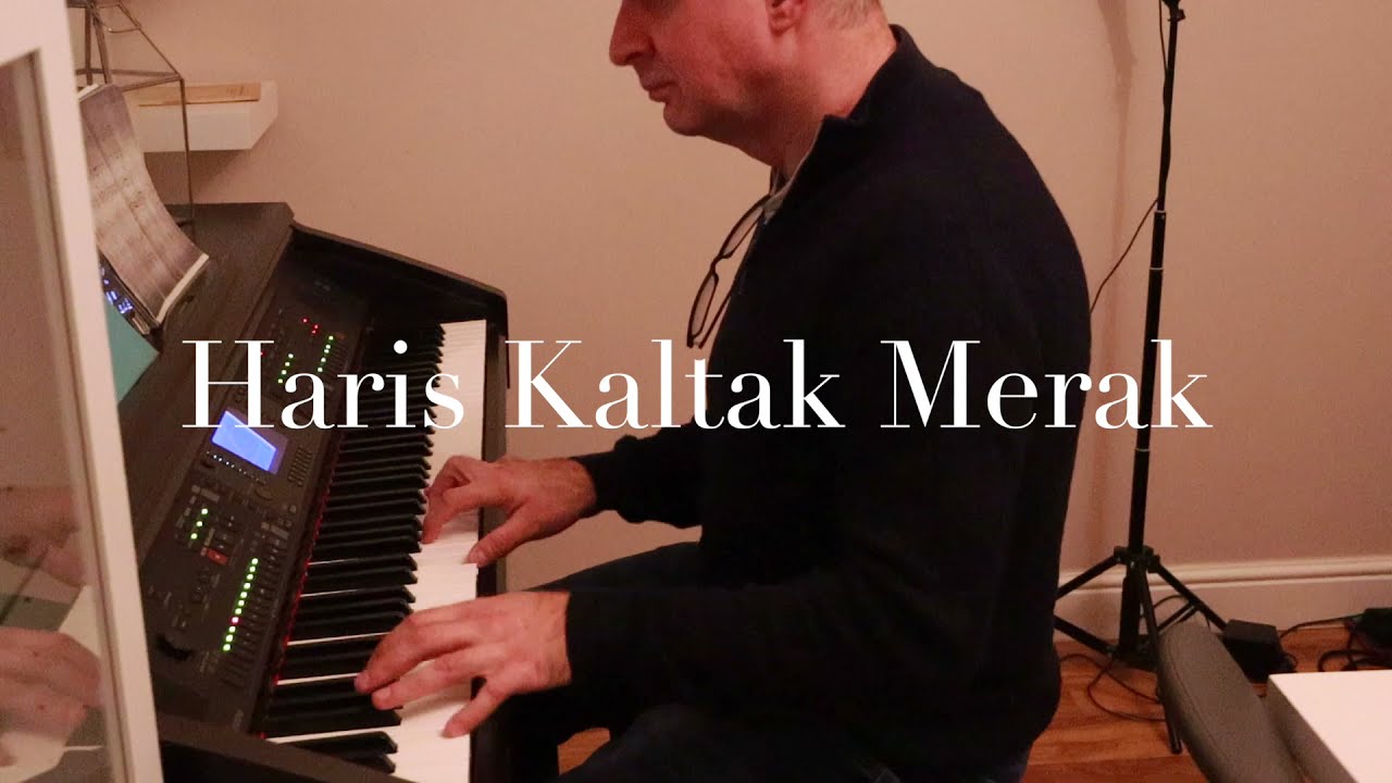 Haris Kaltak - Merak Harmonija/Akordi (Accompaniment) cover by NedKAY