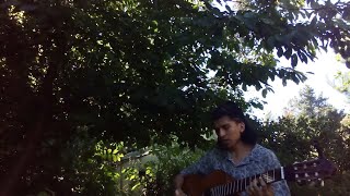 Bubblegum Dog - MGMT (Acoustic Cover)
