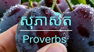 សុភាសិតខ្មែរ ( English & Khmer) Proverbs 3 screenshot 3