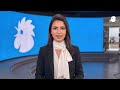 في "منتصف النهار": بري العائد إلى قصر بعبدا يستعيد دوره السياسي المحوري