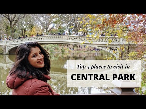वीडियो: न्यूयॉर्क में 11 सबसे खूबसूरत राज्य पार्क