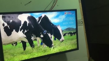 TẶNG NGAY 1 HỘP KHI MUA 2 LỐC SỮA TƯƠI TIỆT TRÙNG VINAMILK 100% 100ML & 180ML