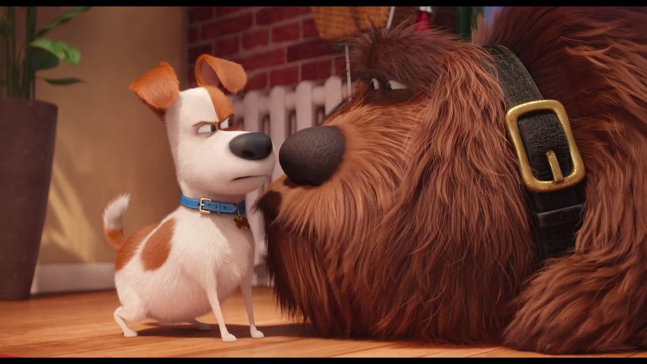 2016 The Secret Life Of Pets