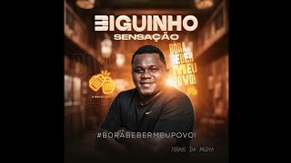 Video thumbnail of "DESFAZ A MALA - BIGUINHO SENSAÇÃO ( Músicas atualizadas)"