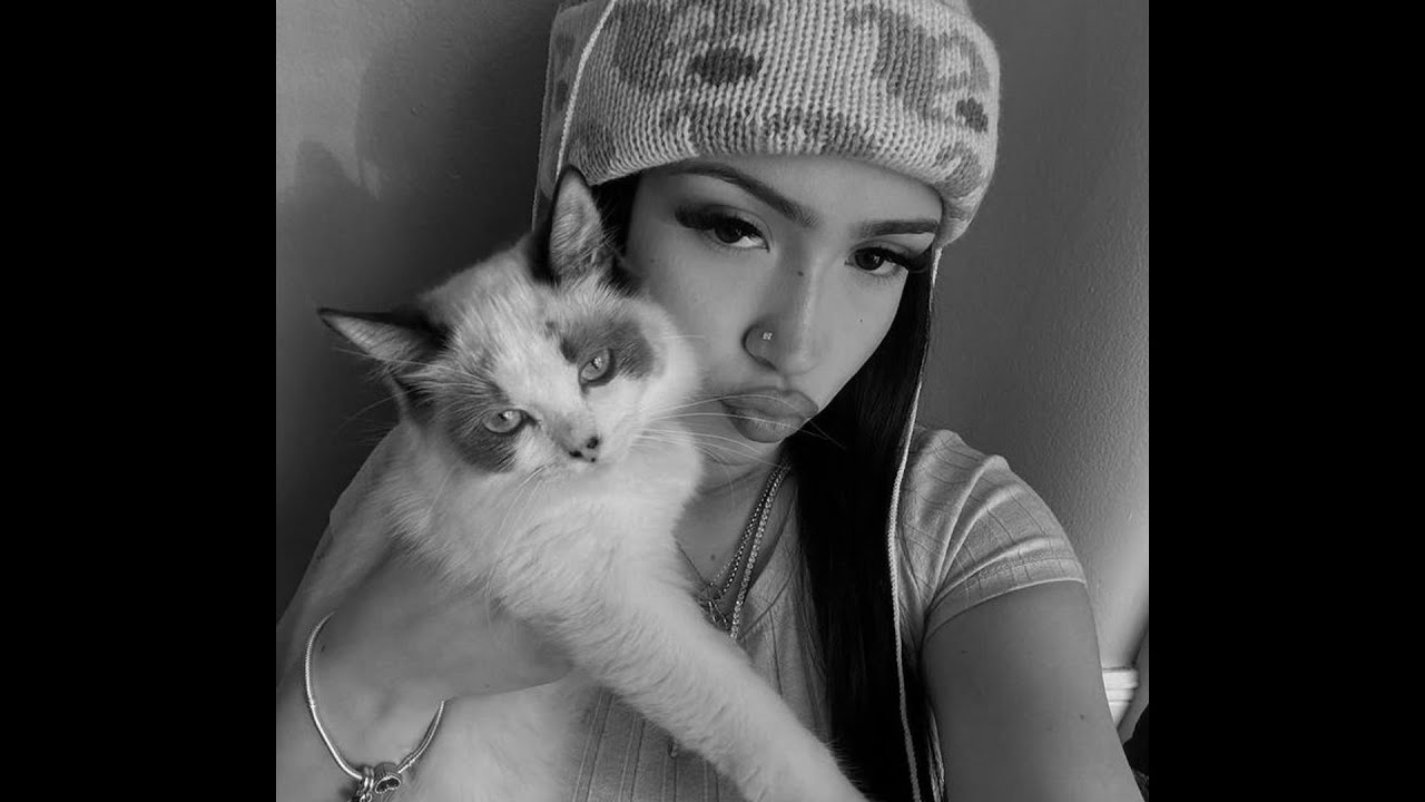 [FREE] Nemzzz x Hoodtrap x Sample Type Beat - 