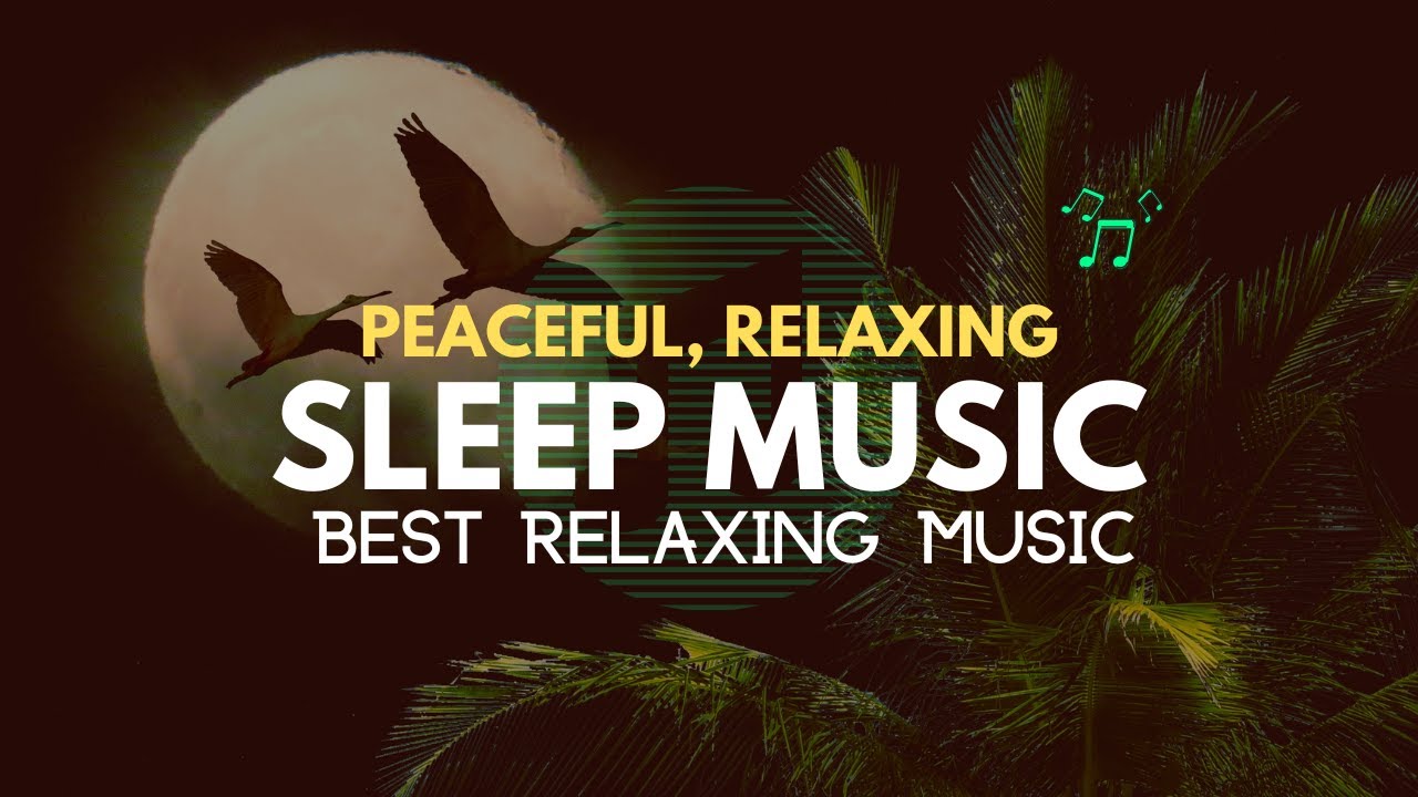 1 Hour Peaceful Relaxing Music To Sleep Mind Relaxation Sleeping