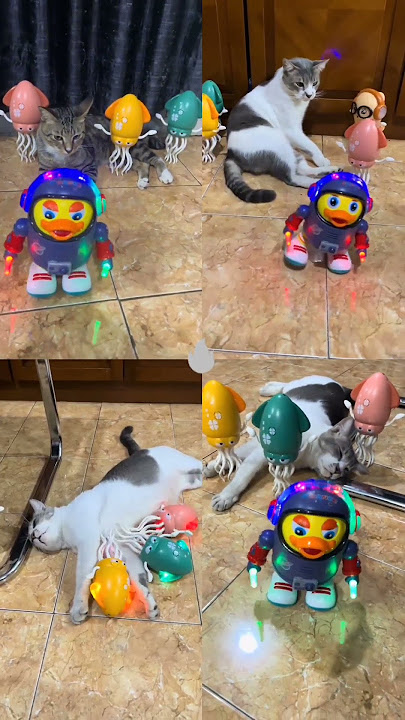 DJ GOYANG MIMI CUCU #djviraltiktok #dj #bzxfvnky #mimicucu #djgoyangmimicucu