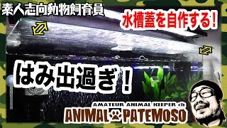 上部フィルターにしたら飛び出した!水槽蓋を自作する!【工作】【熱帯魚】 【アクアリウム】