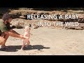 RELEASING A BABY INTO THE WILD