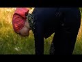 Lives in a remote village in Ukraine! Collecting and cooking mushrooms