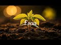 Calm Guitar and Piano for Focus 🌤 Relaxing Background Music for Work & Study