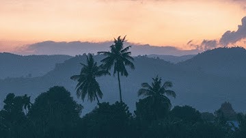 Parallax - Luwaks : Relaxing Meditation Music, Ambient, Relaxing, Yoga.