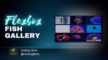 Flexbox Fish Gallery using Html And CSS Only | Web Development Project | Coding Devs