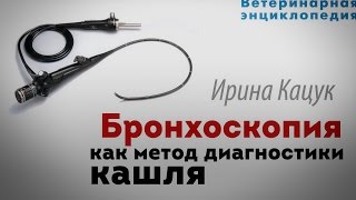 Метод диагностики кашля. Бронхоскопия