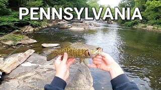 Catching Black Crappie, Smallmouth Bass and Spotted Bass in a Small Delco Pennsylvania Creek