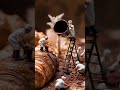 ai video maker #aivideo #viralvideo #aiart