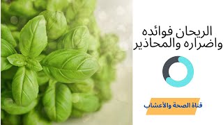 الريحان| فوائده| واضراره |والمحاذير|Benefits of basil