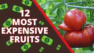 12 Most Expensive Fruits In The World