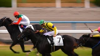 競馬 鞭 mqdefault.jpg