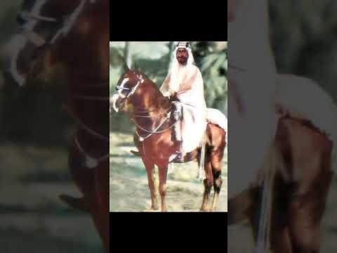 عقاب العواجي