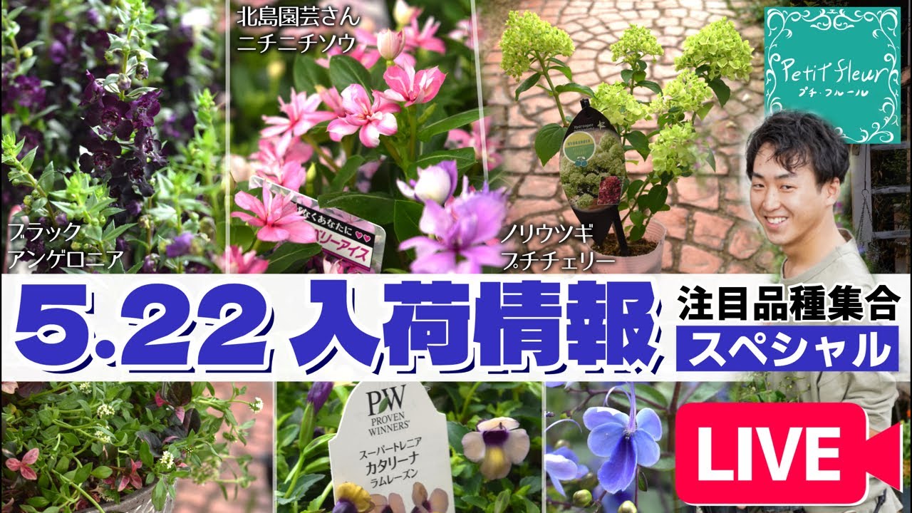【園芸】5/22入荷情報！注目品種 大集合スペシャル！#ガーデニング