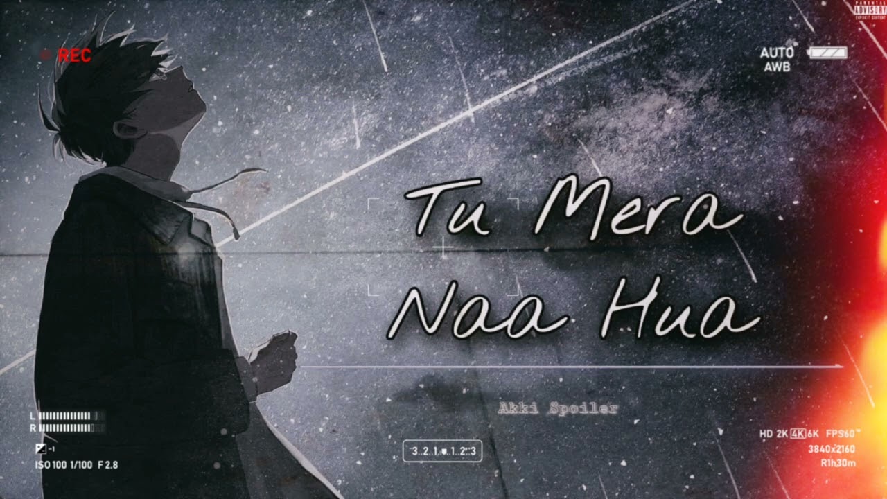 Tu Mera Na Hua _-_ Akki Spoiler / Pahadi vibe ( official Audio )