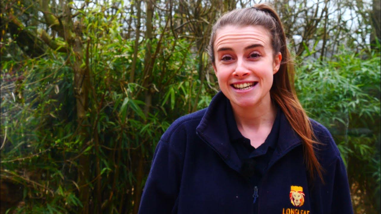 Толық метражды порно пародиялар онлайн