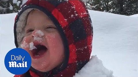Adorable toddler laughs as he happily plays in the snow - Daily Mail