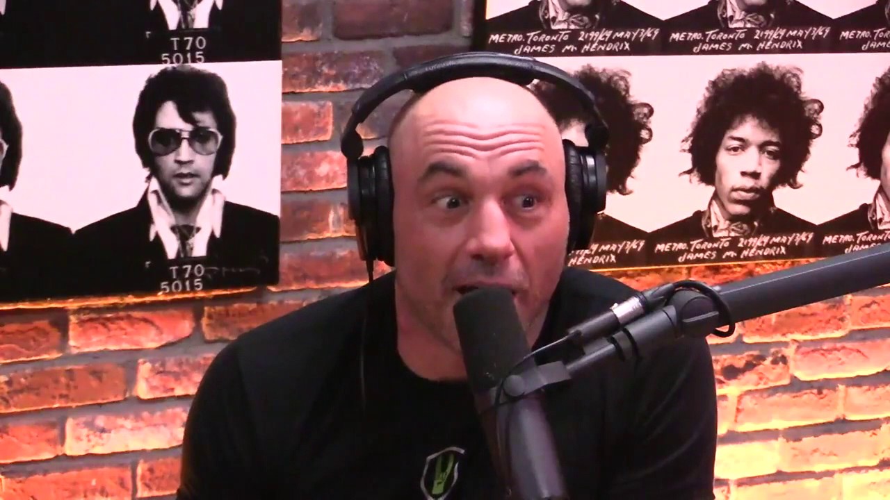 Joe rogan and Bill Burr talk about the fall of Katherine Heigl