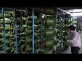 Amazing Mass Production Process of Making Artificial Grass in Korea Factory.