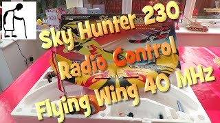 Sky Hunter 230 Radio Control Flying Wing 40 MHz