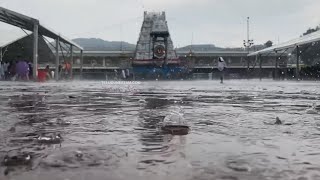 Heavy Rain Again At Tirumala Sri Venkateswara Swamy Temple