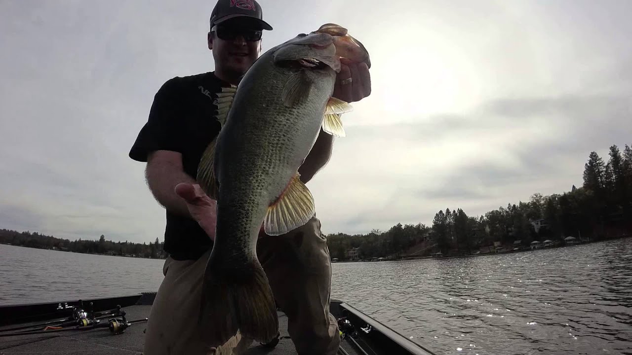 Fishing the Strike King Structure Bug on the Owner J-Rig!