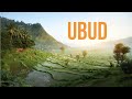 Ubud Travel Guide - an informative journey through the magnificent highlights of Ubud and beyond!