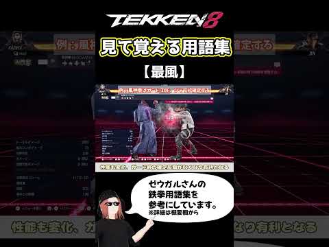 【鉄拳8】見て覚える用語集【最風】