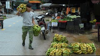 картинка: Сбор больших бананов и продажа их на сельском рынке в штормовой день, 2 года в лесу