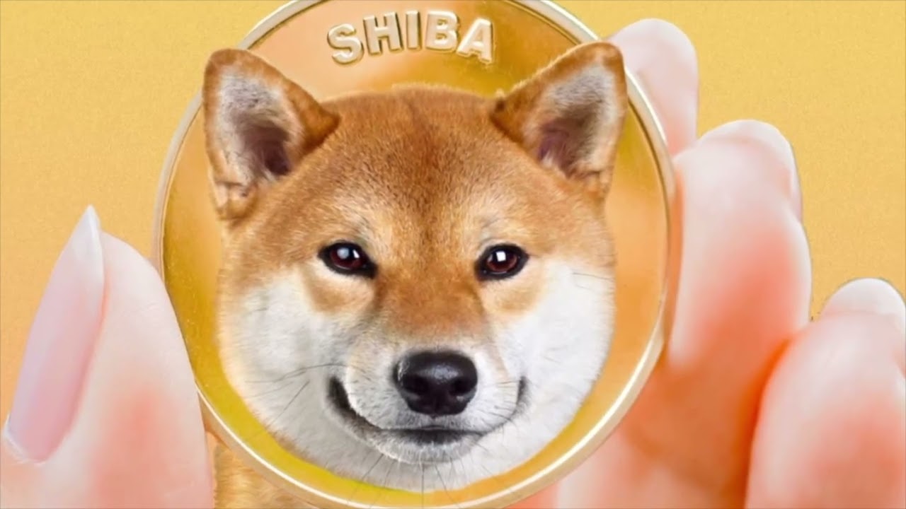 MASSIVE SHIB SCANDAL CAUSES INVESTORS TO QUIT SHIBA INU COIN!! – EXPLAINED.