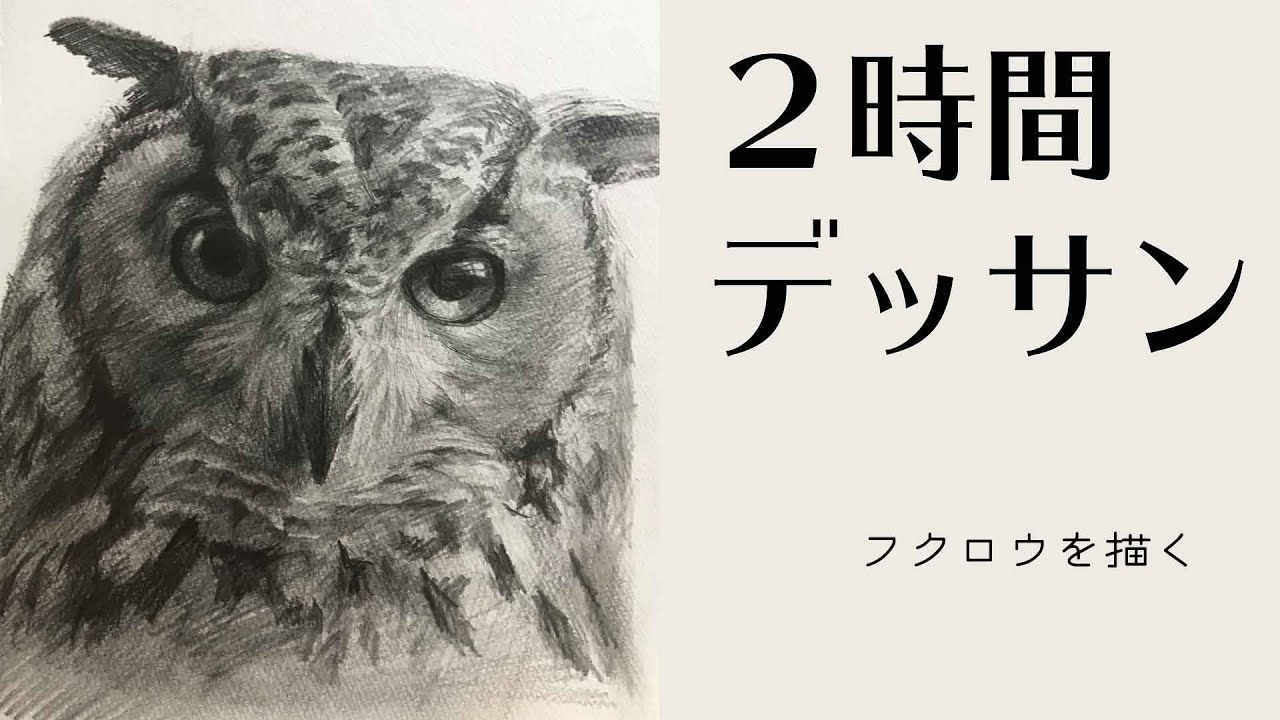 45 ライブドローイング フクロウを描く Pencil Drawing In 2hour Youtube