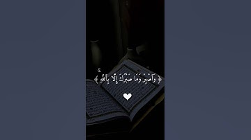 آيات مؤثرة من القرآن الكريم لتخفيف الهموم #القارئ #اكسبلور #دويتو #لايك #المصحف #قرآن #duet #تيك_توك