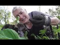 The First of the Gardening Videos for 2019 - LONG!