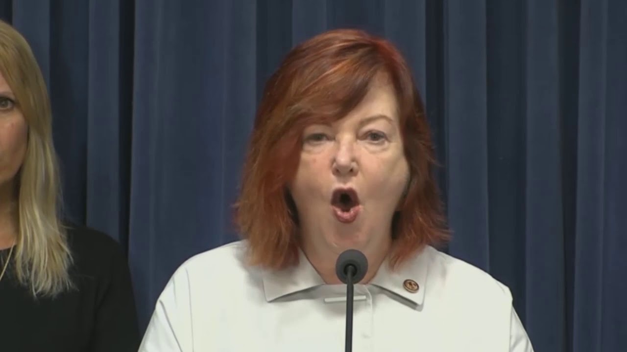 illinois general assembly statutes Rep. McDermed Speaks Out Against Bullying Culture in Springfield