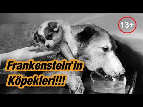 Karanlık Bilim #4  Frankenstein Köpekleri !