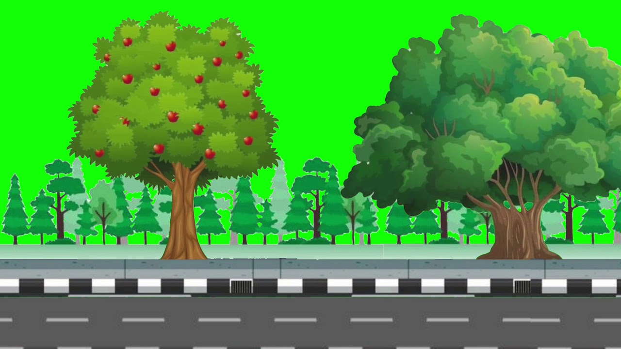 Grenscren Jalan Berjalan Background Hutan | Kartun Anak Anka - YouTube