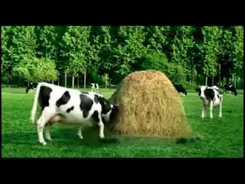 Sütaş Peynir Reklamı 2009 01