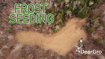 FROST SEEDING Clover Food Plots - The Rise Hunt